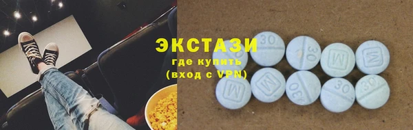 МДПВ Бородино