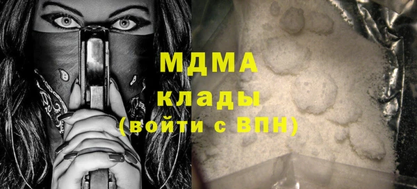 МДПВ Бородино