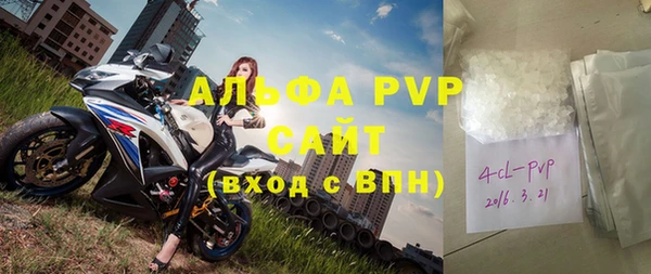 МДПВ Бородино