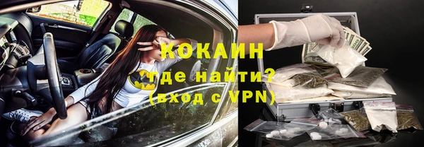 МДПВ Бородино