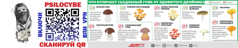 Псилоцибиновые грибы мицелий Горнозаводск